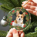 Custom Photo In Loving Memory Pet Memorial - Personalized Combo Circle Glass Ornament