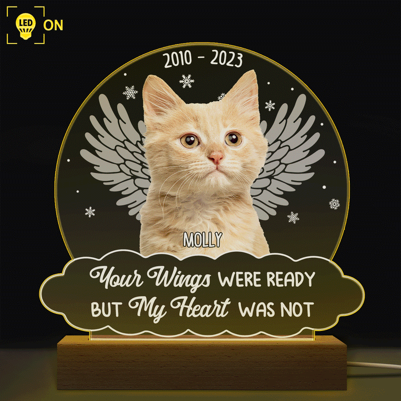 Custom Photo You Were My Favorite Hello - Memorial Gift For Pet Lovers - 3D Led Light Wooden Base