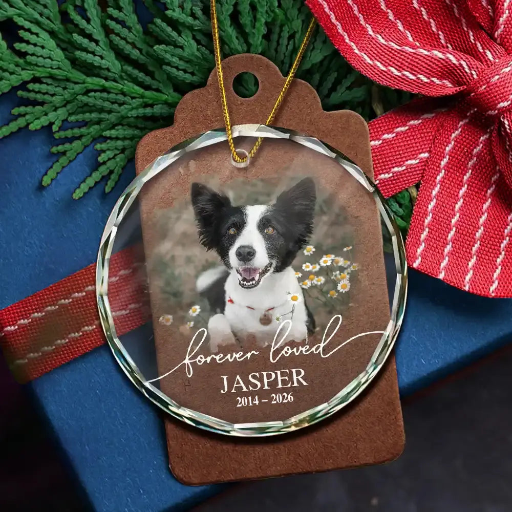 Custom Photo Memorial Pet Forever Loved - Personalized Circle Glass Ornament