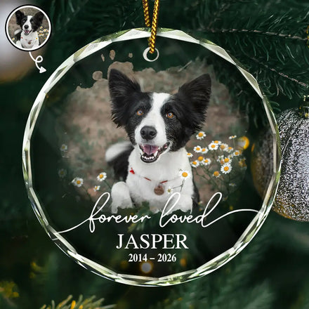 Custom Photo Memorial Pet Forever Loved - Personalized Circle Glass Ornament