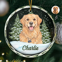 Art Design,Christmas,Cozy,Pet Lovers,Photo - Colored Pencil  - Custom Photo Colored Pencil Sketch Dog Cat Pet - Personalized Circle Glass Ornament