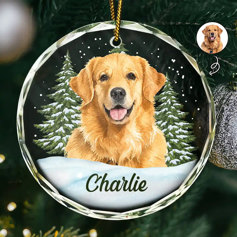 Art Design, Christmas, Cozy, Pet Lovers, Photo - Watercolor - Remove BG - Custom Photo Realistic Watercolor Art Dog Cat Pet - Personalized Circle Glass Ornament