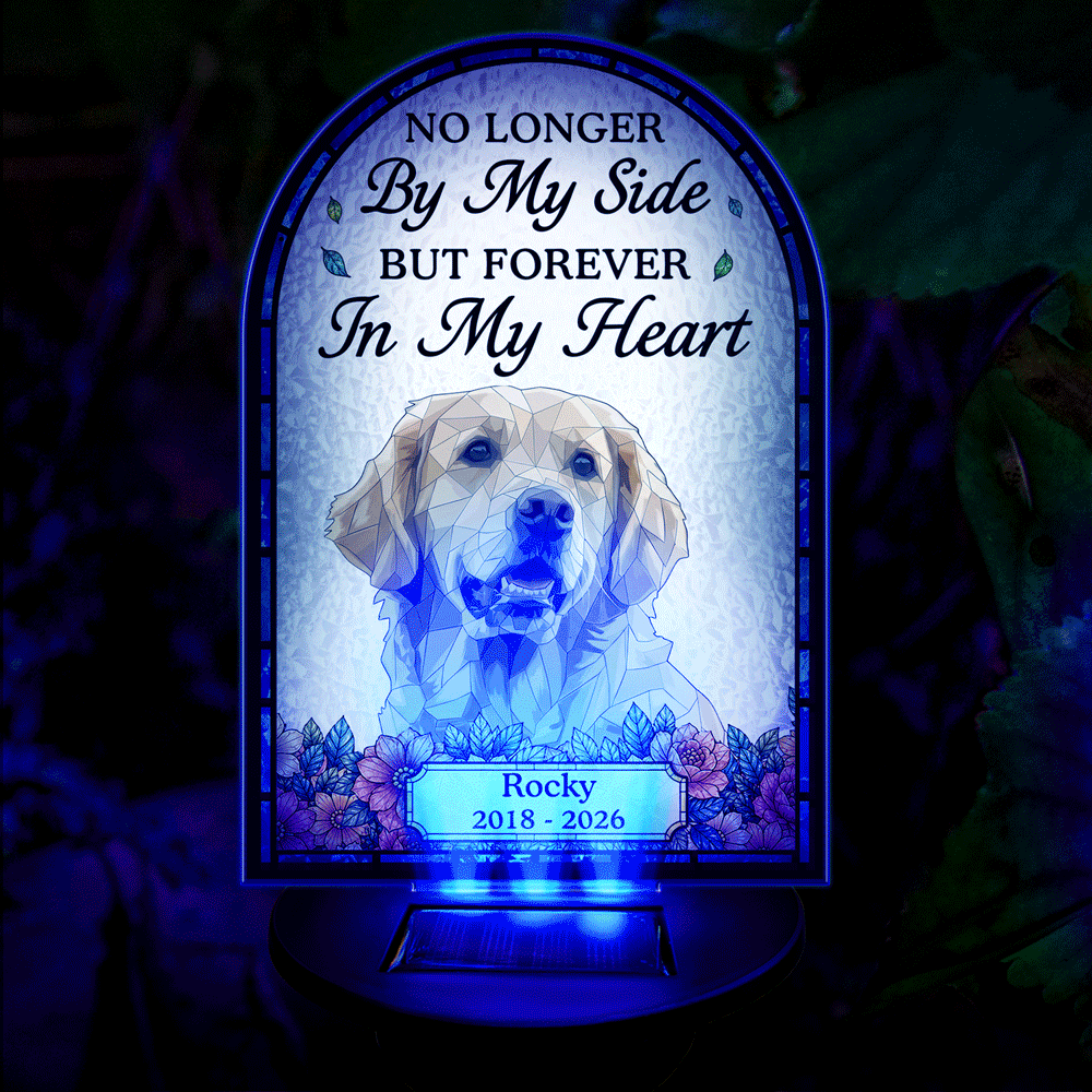 Art Design,Christmas,Pet Memorial,Sympathetic,Pet Lovers,Memorial,Photo - Stained Glass - Custom Photo Stained Glass Memorial Pet Forever In My Heart Always Loved - Personalized Solar Light