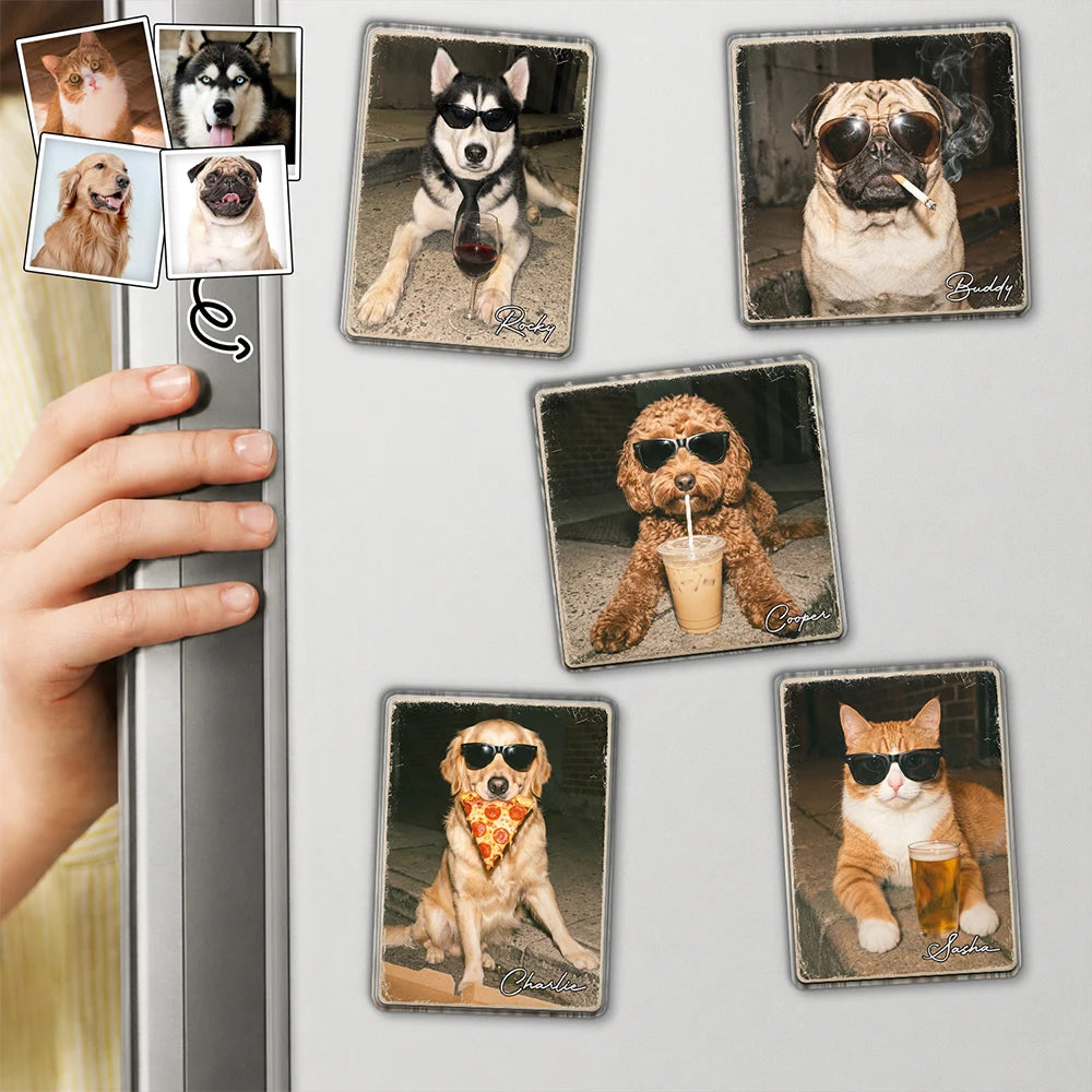 Custom Photo Cool Street Pet Pet Portrait - Personalized Acrylic Magnet