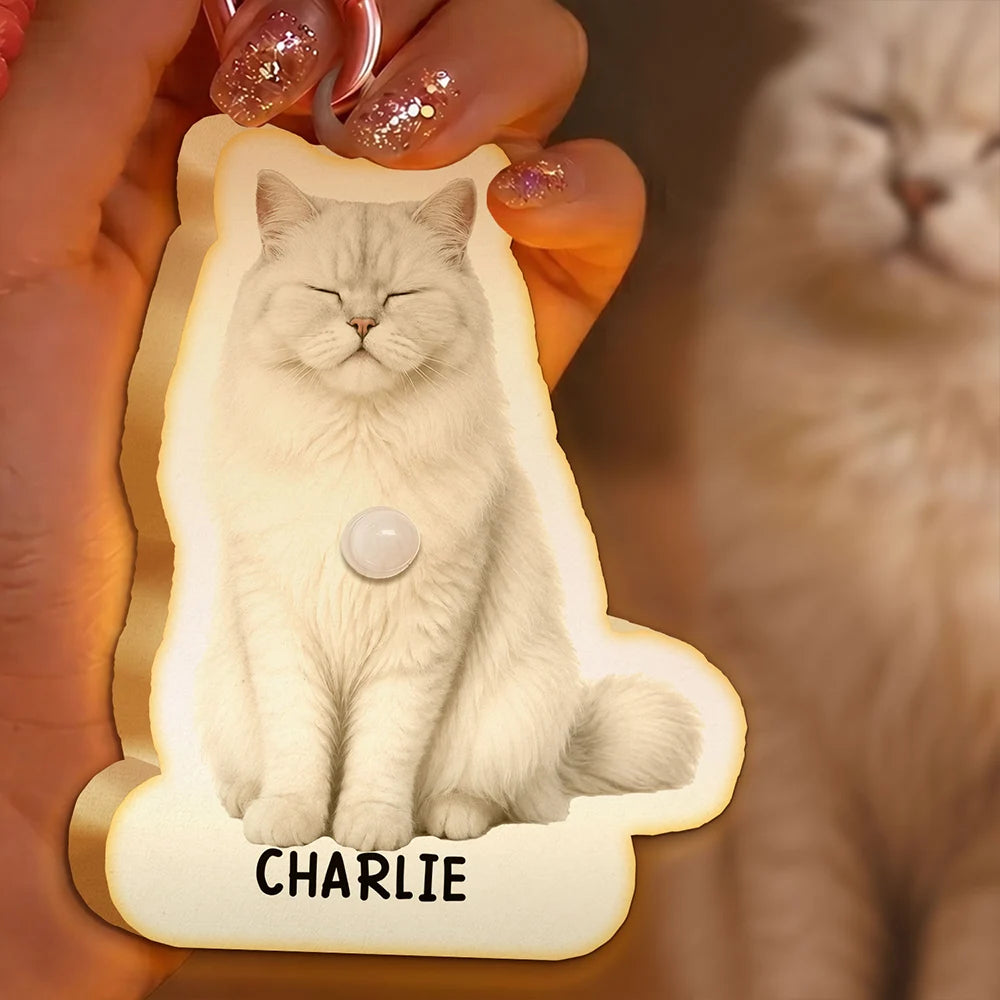 Pet Lovers,Pet Mom,Pet Dad,Gift For Yourself,Gift For Men,Gift For Women,Happy,Photo,Playful - Custom Photo Cute Funny Dog Cat - Personalized Motion Sensor Night Light