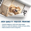 Custom Photo, Art Design, Pet Lovers, Humorous, Photo - Funny Bathroom Pet  - Custom Photo Funny Bathroom Pet Nice Butt Are You Pooping Toilet Dog Cat - Personalized Poster
