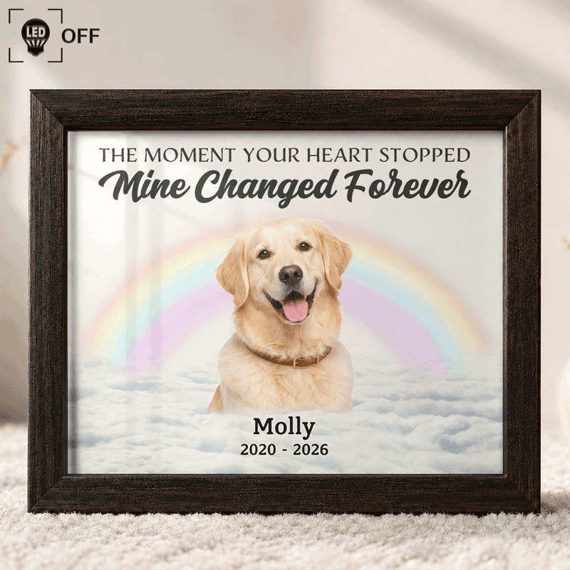 Christmas,Custom Photo,Sympathetic,Pet Lovers,Memorial,Remove BG Photo - Custom Photo Memorial Forever In My Heart - Personalized LED Light Shadow Box