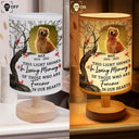 Sad, Memorial, Gift For Grandparents, Gift For Sibling, Family, Parents - Custom Photo This Light Shines In Loving Memory - Personalized Fabric Lamp