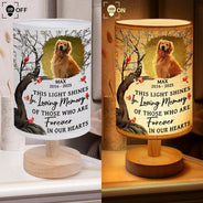 Sad, Memorial, Gift For Grandparents, Gift For Sibling, Family, Parents - Custom Photo This Light Shines In Loving Memory - Personalized Fabric Lamp