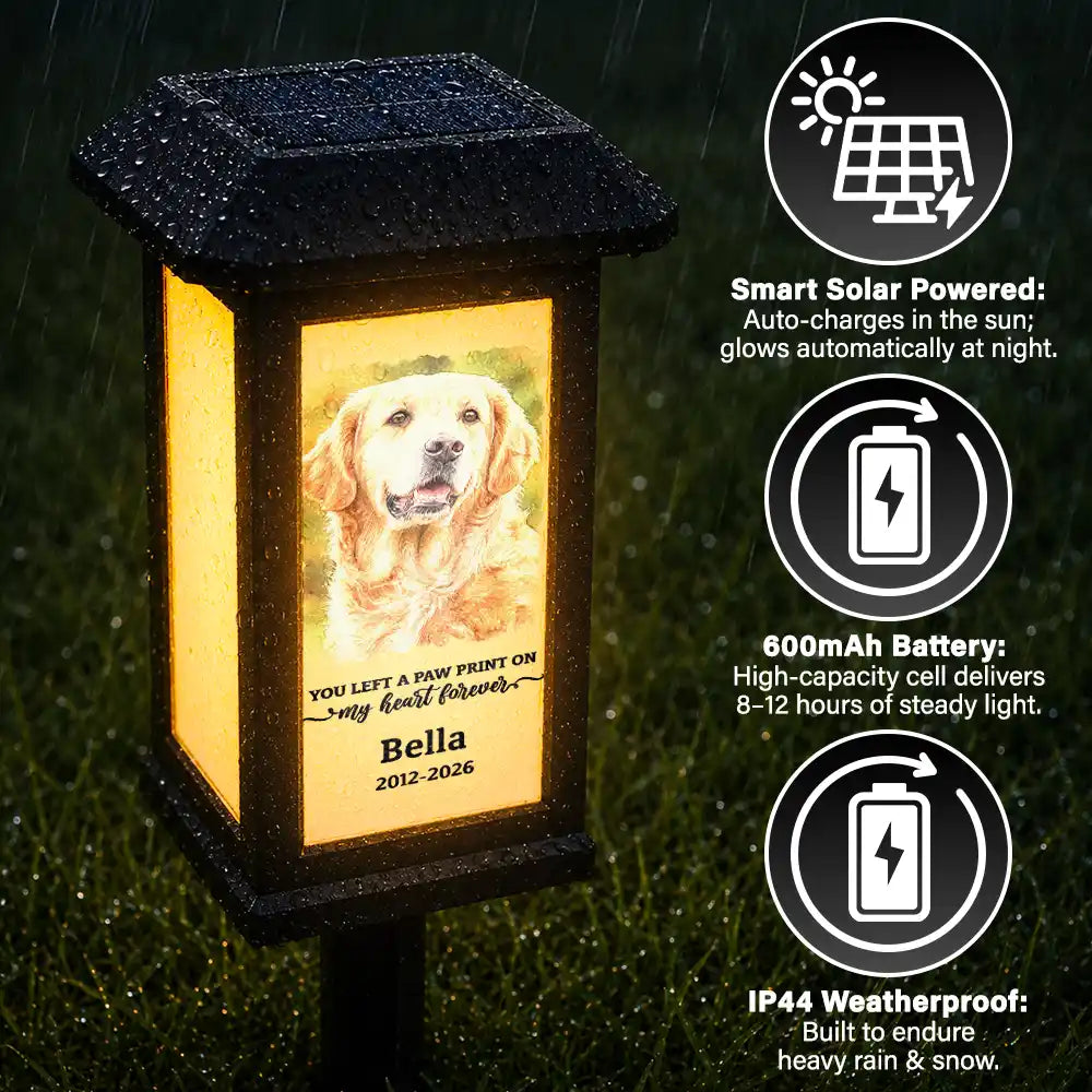 Art Design,Christmas,Sympathetic,Pet Lovers,Memorial,Photo - Watercolor - With BG - Custom Photo Watercolor Painting Memorial Dog Cat Forever Loved - Personalized Solar Garden Light