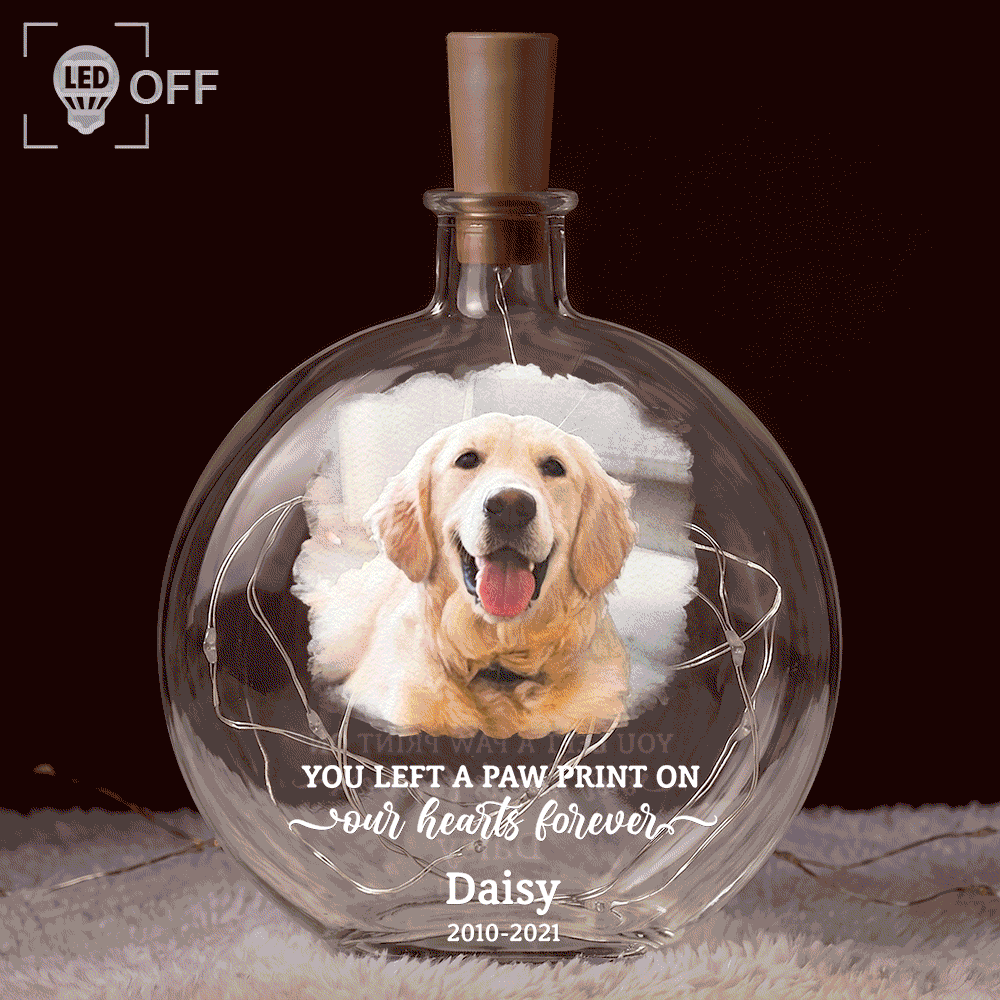 Art Design,Christmas,Pet Memorial,Sympathetic,Pet Lovers,Memorial,Photo - Watercolor - With BG - Custom Photo Watercolor Painting Memorial Pet Forever Loved - Personalized Round Flat Bottle Light