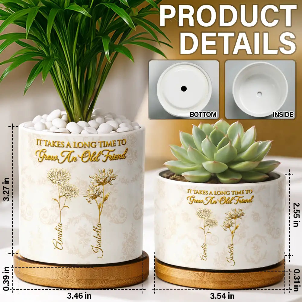 Old Besties, Sentimental, Gift For Bestie, Gardening, Outdoor Decor, Icon - Gold Birth Month Flower Grow An Old Friend - Personalized Plant Pot