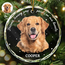Custom Photo,Pet Lovers,Memorial,Sad - Custom Photo B&W Pet Loss Pet Memorial Forever Leaving Pawprints - Personalized Circle Glass Ornament