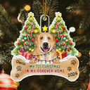 Pet Lovers, Cat Lovers, Dog Lovers - My First Christmas In My Forever Home Dogs Cats - Personalized Custom Shaped Acrylic Ornament
