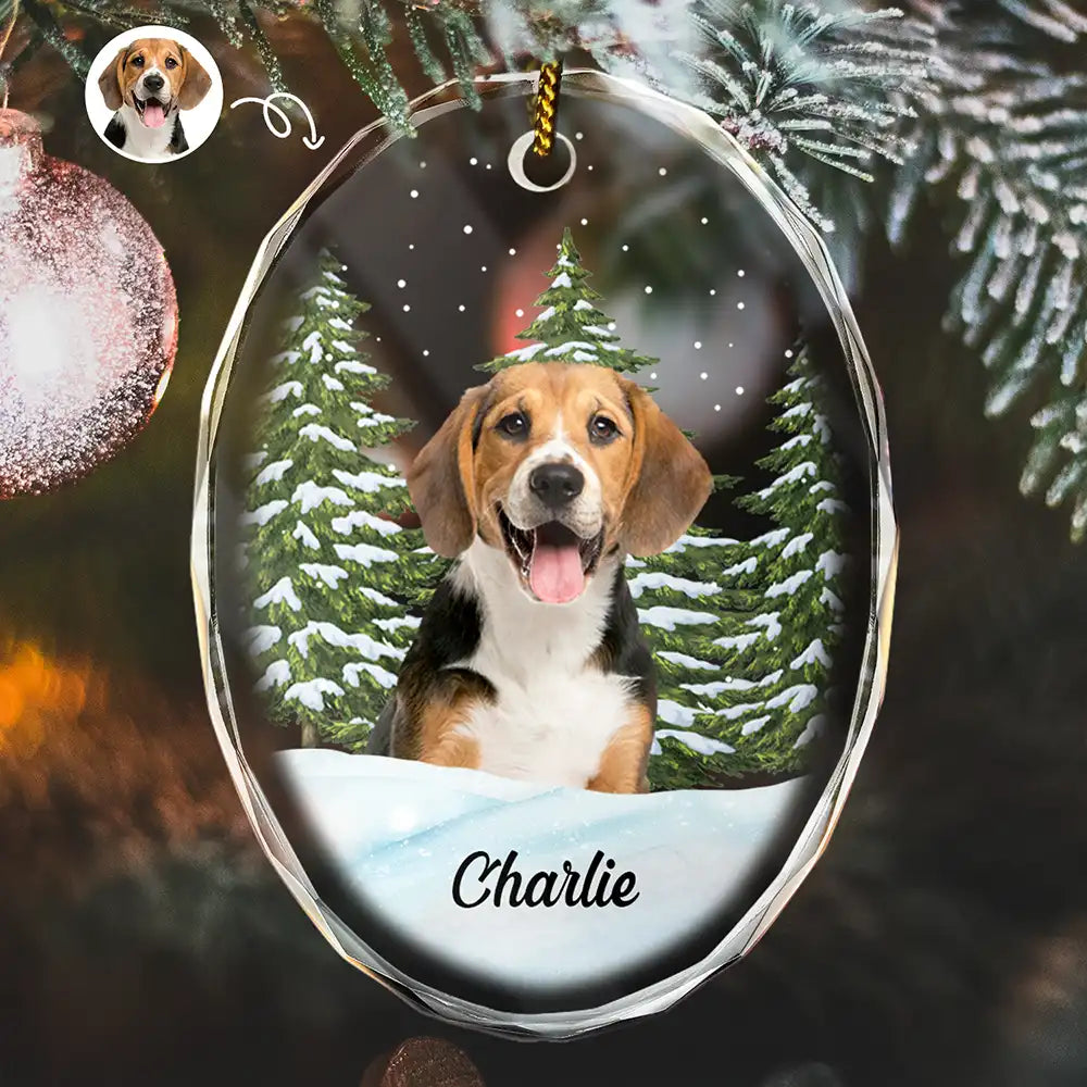 Custom Photo Pet Face Dog Cat Memorial - Personalized Oval Glass Ornament