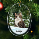 Love,Christmas,Pet Lovers,Dog Lovers,Cat Lovers - Custom Photo Pet Face Dog Cat Memorial - Personalized Oval Glass Ornament