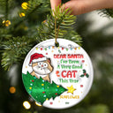 Funny Cartoon Cat On The Naughty List - 3D Inflated Effect Printed Ornament, Personalized Circle Ceramic Ornament