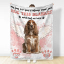Custom Photo Dog Cat Memorial When You Miss Me Hug This Blanket - Personalized Fleece Blanket, Sherpa Blanket