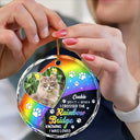 Pet Lovers - Custom Photo Memorial Dog Cat Pet We Will Meet Again At The Rainbow Bridge - Personalized Circle Glass Ornament