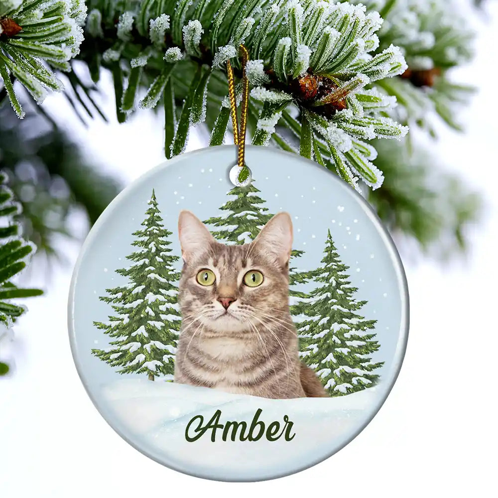 Memorial, Pet Lovers - Custom Photo Pet Face Memorial - Personalized Circle Ceramic Ornament