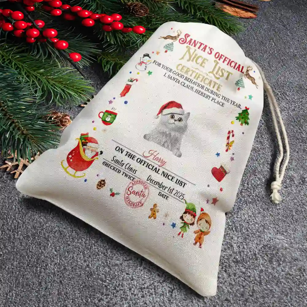 Funny,Christmas,Gift For Kids,Pet Lovers - Nice List Certificate - Personalized Favor Bag