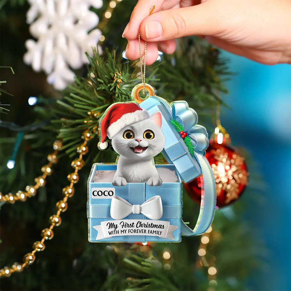 Christmas, Pet Lovers, Cat Lovers, Dog Lovers, Happy - Pet First Christmas, Gift Reveals, Gift Box 3D Effect - Personalized Custom Shaped Acrylic Ornament