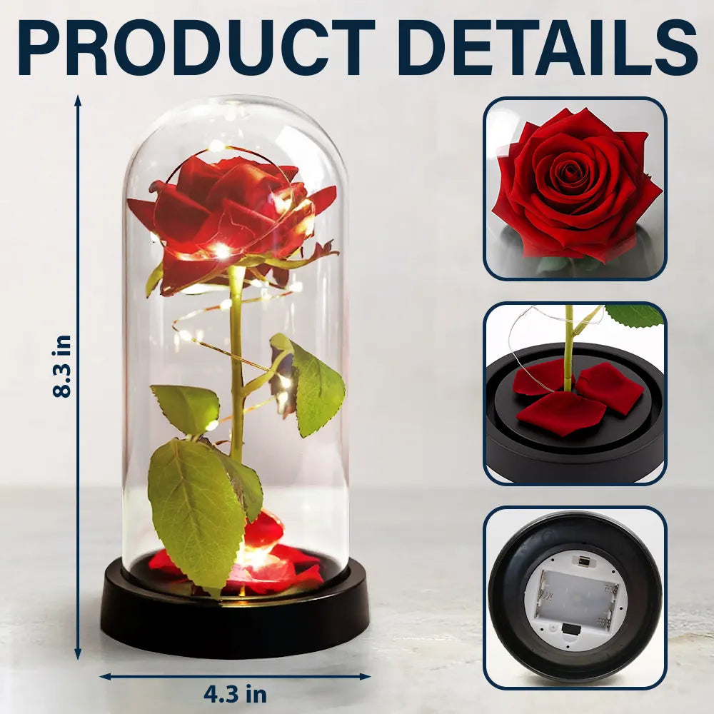 Gift For Couples, Gift For Husband, Gift For Wife, Gift For Boyfriend, Gift For Girlfriend, Love, Custom Photo - Custom Photo You & Me We Got This - Personalized Everlasting Rose Dome Lamp