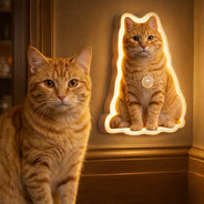 Pet Lovers,Pet Mom,Pet Dad,Gift For Yourself,Gift For Men,Gift For Women,Happy,Photo,Playful - Custom Photo Cute Funny Dog Cat - Personalized Motion Sensor Night Light