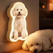 Pet Lovers,Pet Mom,Pet Dad,Gift For Yourself,Gift For Men,Gift For Women,Happy,Photo,Playful - Custom Photo Cute Funny Dog Cat - Personalized Motion Sensor Night Light