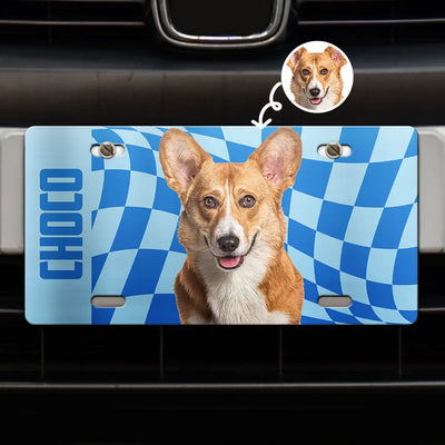 License Plate