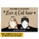 This Home Is Filled With Love & Cat Hair Custom Doormat, Funny Cat Doormat, Home Decor, Cat Lovers Gift