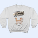 This Human Belongs To - Gift For Cat Lovers - Personalized T Shirt