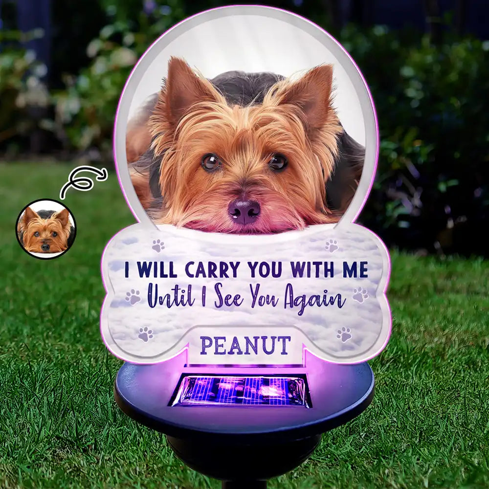 Custom Photo I Will Carry You With Me - Personalized Solar Light