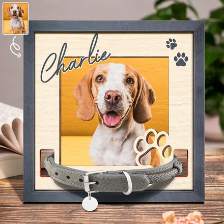 Custom Photo Dog Cat Pet Name - Personalized Pet Loss Sign, Collar Frame