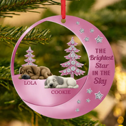 Dog Lovers,Pet Lovers,Sad,Memorial - The Brightest Star In The Sky - Personalized Metal Ornament