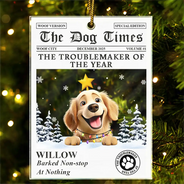 Pet Lovers,Pet Mom,Pet Dad,Dog Lovers,Dog Mom,Dog Dad,Cat Lovers,Cat Mom,Cat Dad,Christmas,Funny,Non-Eng - The Dog Times The Meow Times - Personalized Custom Shaped Acrylic Ornament