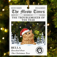 Pet Lovers,Pet Mom,Pet Dad,Dog Lovers,Dog Mom,Dog Dad,Cat Lovers,Cat Mom,Cat Dad,Christmas,Funny,Non-Eng - The Dog Times The Meow Times - Personalized Custom Shaped Acrylic Ornament