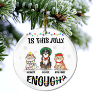 Is This Jolly Enough - Funny, Christmas Gift For Cat Lover, Dog Lover, Pet Owner - Personalized Circle Ceramic Ornament