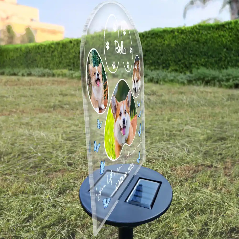 Custom Photo You Left A Paw Print On Our Hearts - Personalized Solar Light