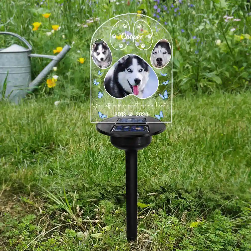 Custom Photo You Left A Paw Print On Our Hearts - Personalized Solar Light